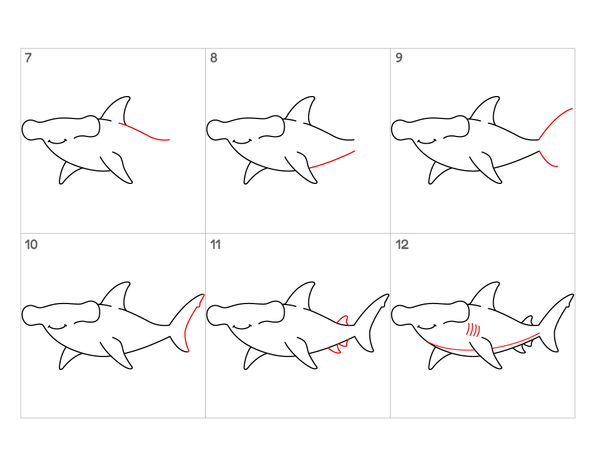How to Draw a Hammerhead Shark – Simple Step-by-Step Shark Drawing for Kids