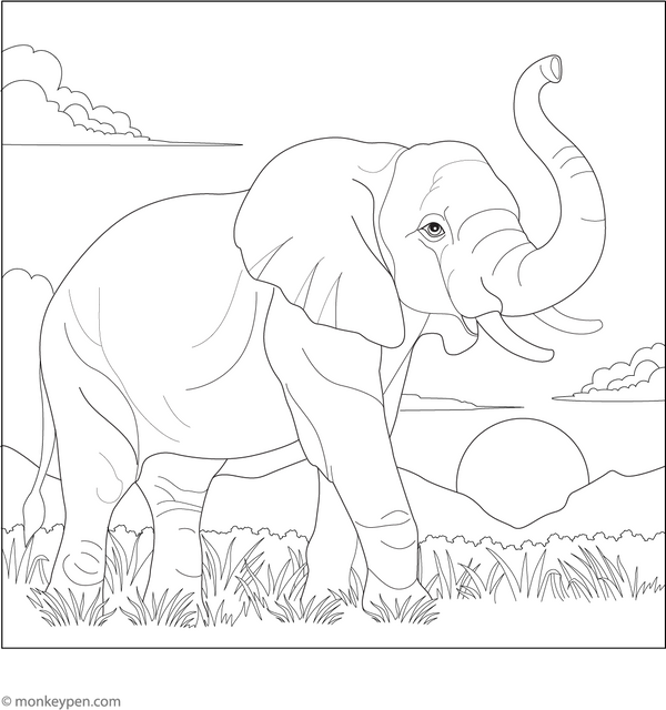 Elephant in Sunset Coloring Page