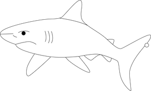 Shark coloring page – fun and educational printable for children