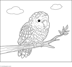 Kokapo Coloring Page – fun and educational printable for children