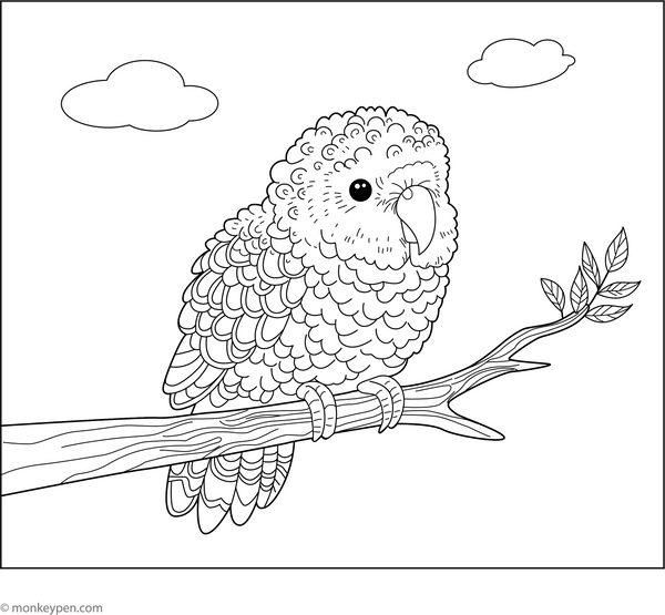Kokapo Coloring Page – fun and educational printable for children