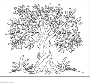 Olive Tree Coloring Page