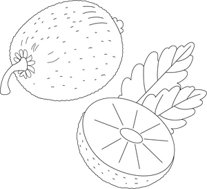 Kiwi Fruit coloring page – fun and educational printable for children