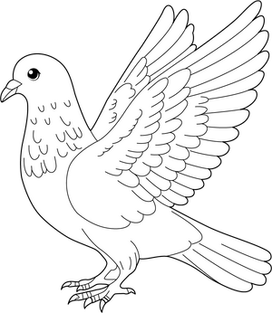 Pigeon coloring page – fun and educational printable for children