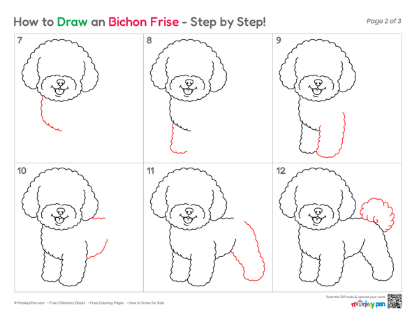 Beginner-friendly Bichon Frise drawing