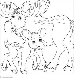 Coloring page showing a young moose walking alongside its mother through a forested area, designed for children's coloring fun. 