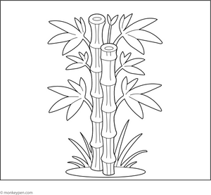 Bamboo Tree Coloring Page