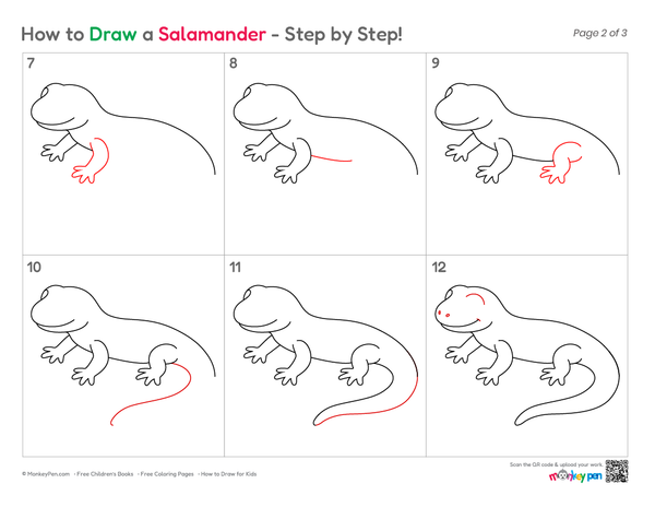 Easy Salamander illustration for kids