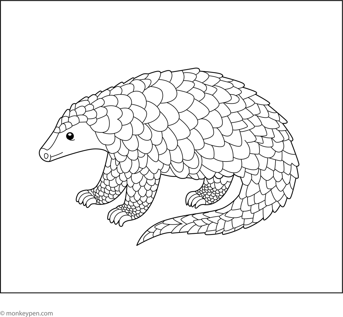 Indian Pangolin Coloring Page – Free Printable for Kids