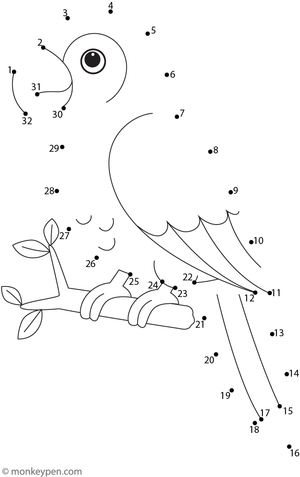 A colorful parrot perched with a curved beak and detailed feathers appears as kids join the dots.