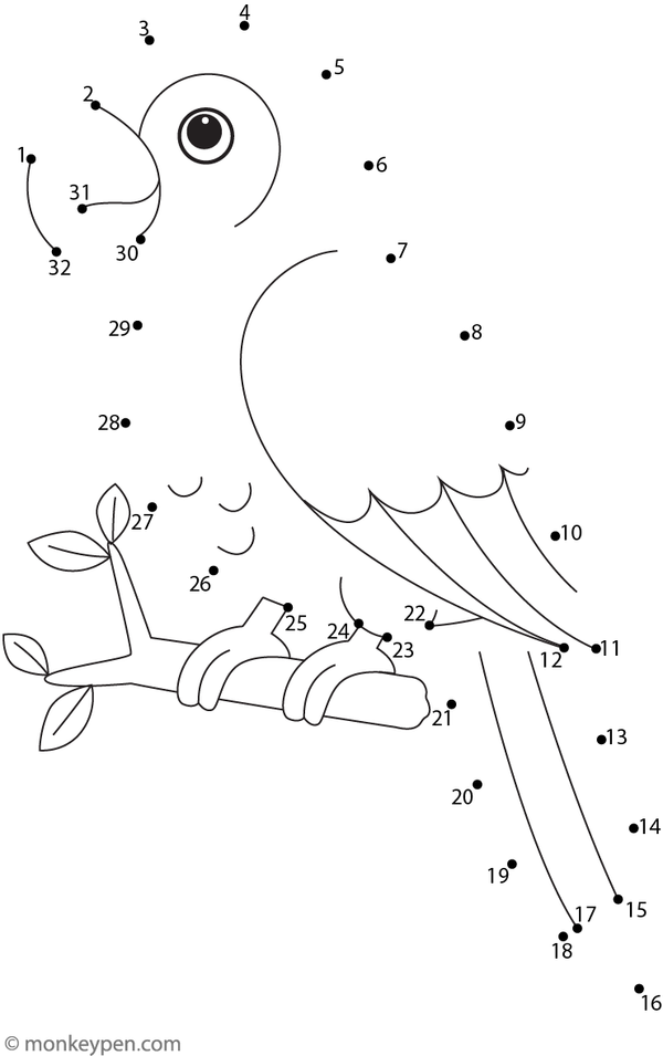 A colorful parrot perched with a curved beak and detailed feathers appears as kids join the dots.