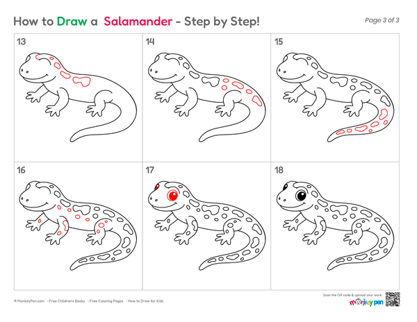 Cute Salamander drawing for children