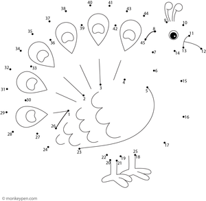 An outline of a peacock with decorative feathers appears as children connect the numbered dots.