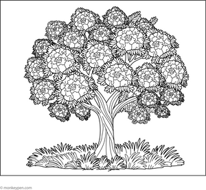 Gulmohar Tree Coloring Page