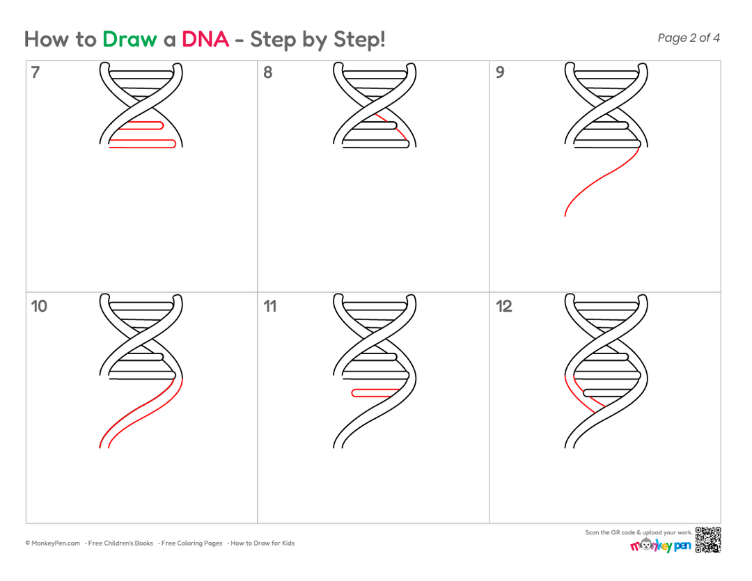 How to Draw DNA – Easy Step-by-Step Science Drawing for Kids
