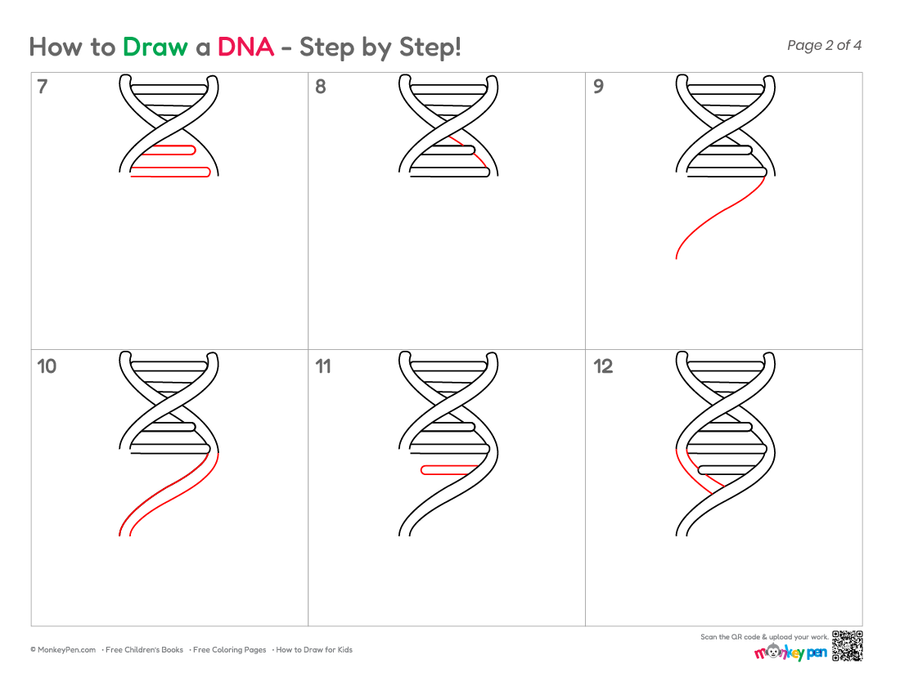How to Draw DNA – Easy Step-by-Step Science Drawing for Kids