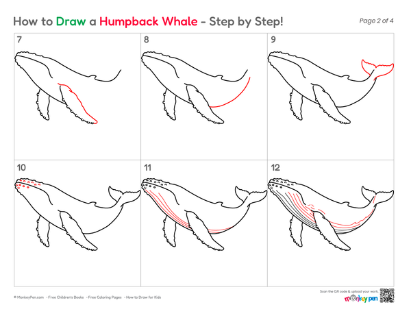 How to Draw a Humpback Whale – Step-by-Step Whale Drawing for Kids