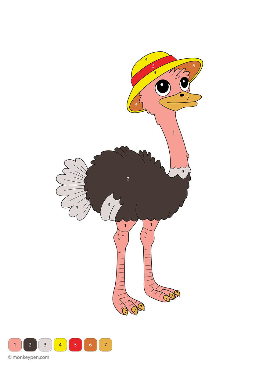 Ostrich Color Patterns Ostrich Color by Number – Free PDF for Kids