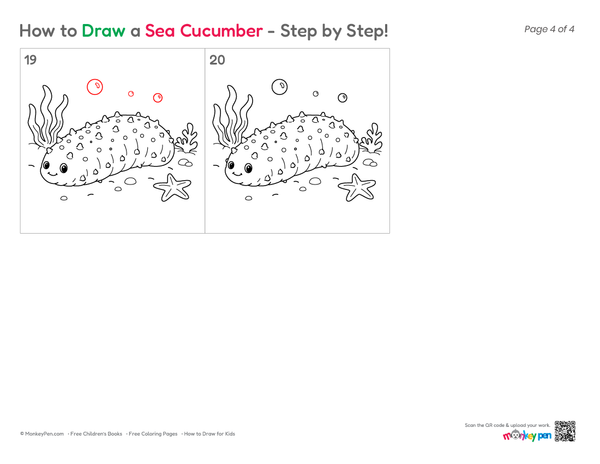 Sea cucumber line art