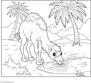 Camel Drinking Water coloring page – free printable for kids to color and enjoy