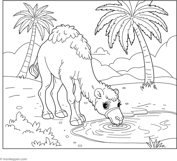 Camel Drinking Water coloring page – free printable for kids to color and enjoy