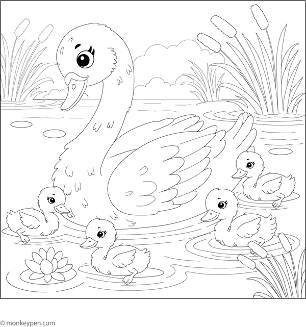 Swan and duckling coloring page