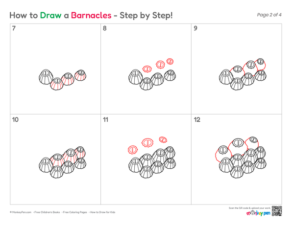 Beginner-friendly barnacles drawing