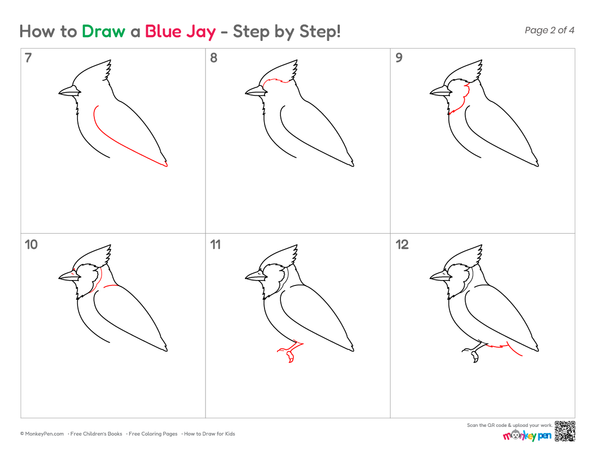 Simple Blue Jay bird sketch for beginners