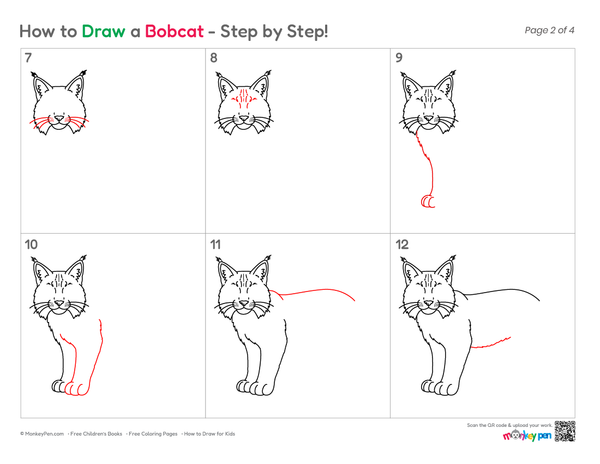 Simple Bobcat illustration for kids