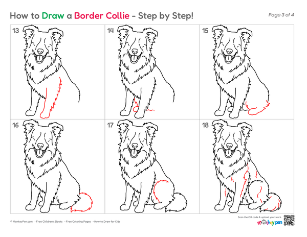 How to Draw a Border Collie – Step-by-Step Dog Drawing for Kids