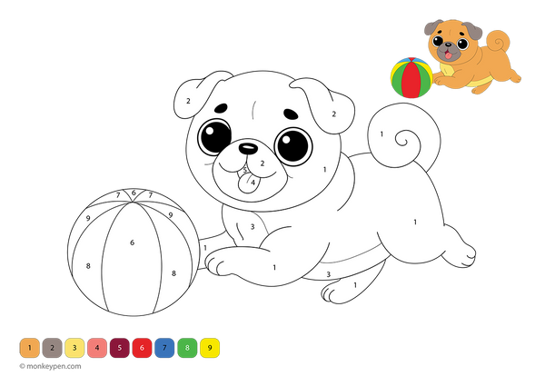 Free downloadable color-by-number worksheet featuring a playful pug with a ball, showing numbered sections on its face, tail, and eyes—an ideal printable activity for preschoolers to practice numbers while coloring a favorite pet.