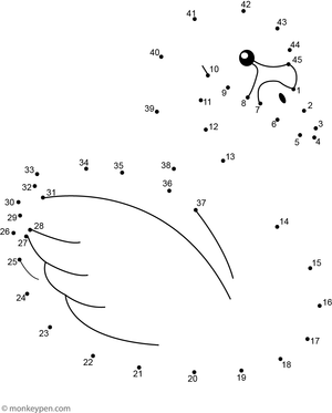 A elegant swan with a curved neck is created as children join the dots in this peaceful activity.