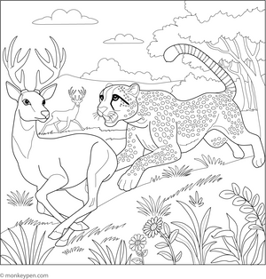 Cheetah Chasing Prey coloring page – free printable for kids to color and enjoy