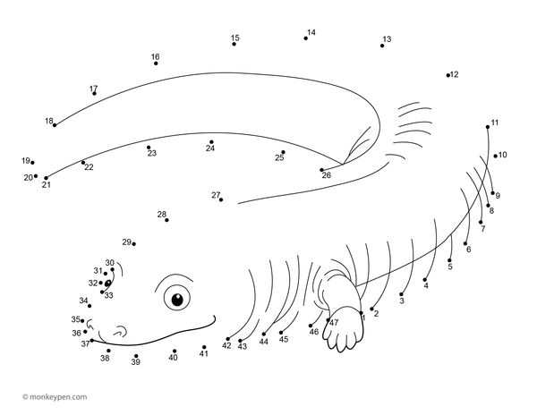 Children connect dots to reveal a long, smooth caecilian, an unusual amphibian.