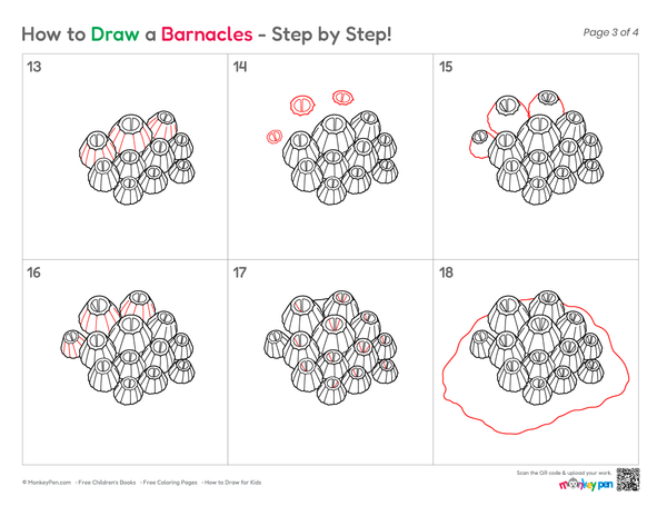 Simple barnacle sketch for young learners