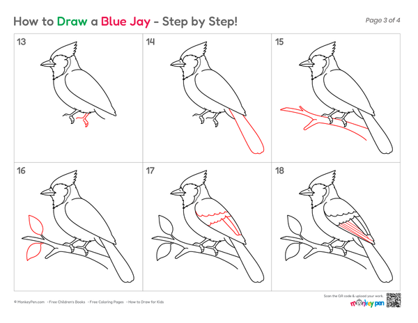 Cute cartoon Blue Jay drawing