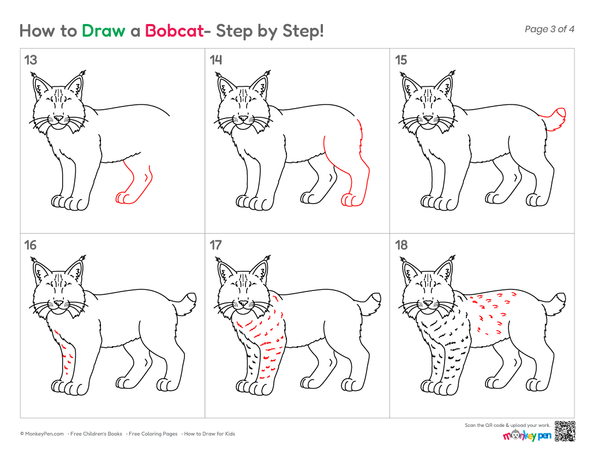 Cute Bobcat drawing for children