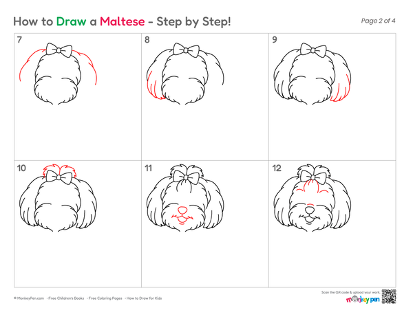 How to Draw a Maltese – Easy Step-by-Step Dog Drawing for Kids