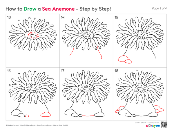 How to Draw a Sea Anemone – Easy Step-by-Step Ocean Creature Drawing for Kids