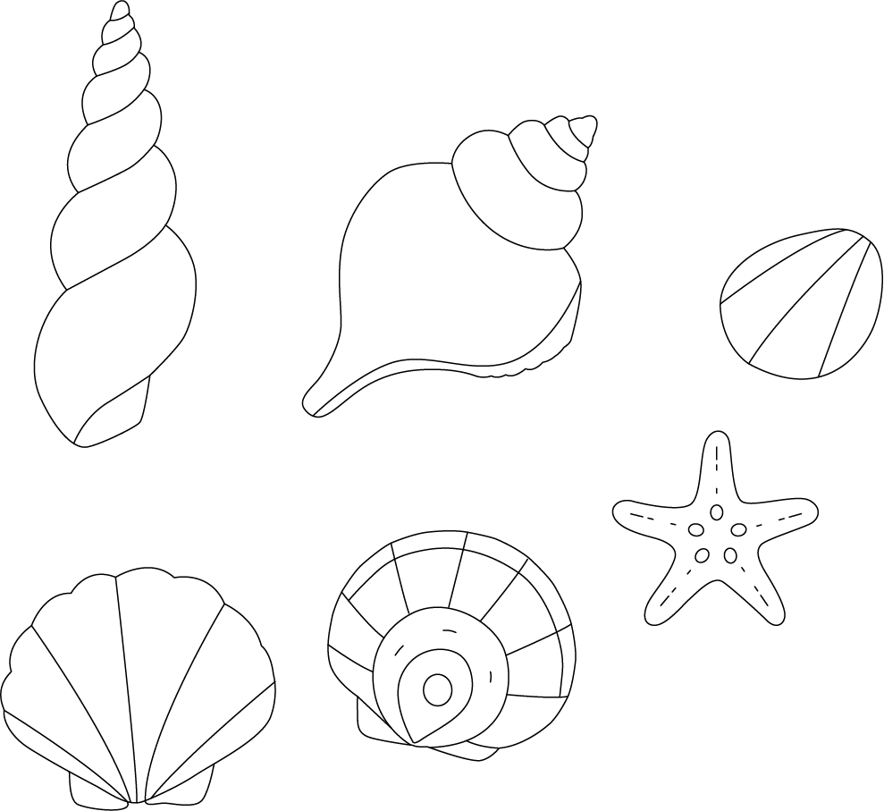Shell Abstract Coloring Unleash Your Creativity with the Perfect Coloring Page of Sea Shells