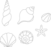 Sea Shells Coloring Page – Fun and Educational Coloring Sheet
