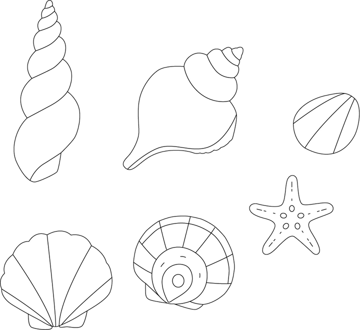 Sea Shells Coloring Page – Fun and Educational Coloring Sheet