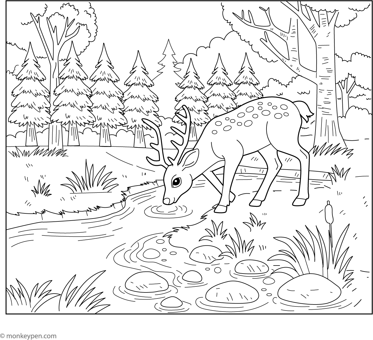 Stream Colouring In Deer by a Stream Coloring Page – Printable PDF for Kids