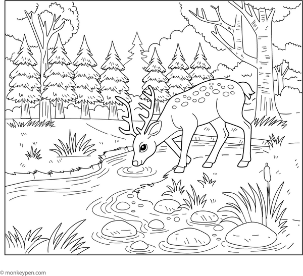 Deer by a Stream coloring page – free printable for kids to color and enjoy