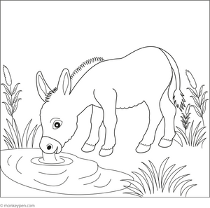 Donkey at a Watering Hole coloring page – free printable for kids to color and enjoy