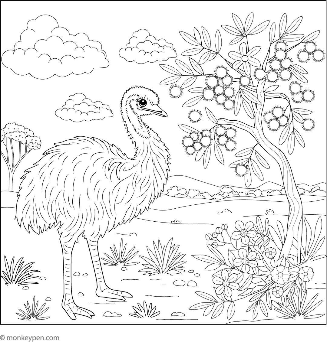 Emu Colour In Emu Coloring Book (Free Printable PDF)