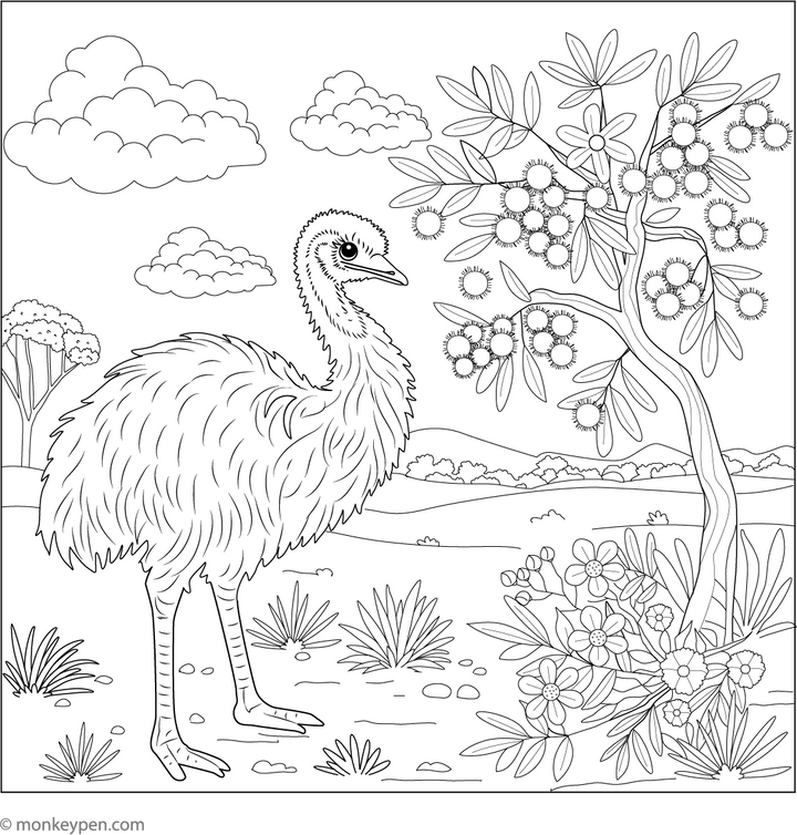Free Emu Coloring Pages – Printable Sheets for Kids