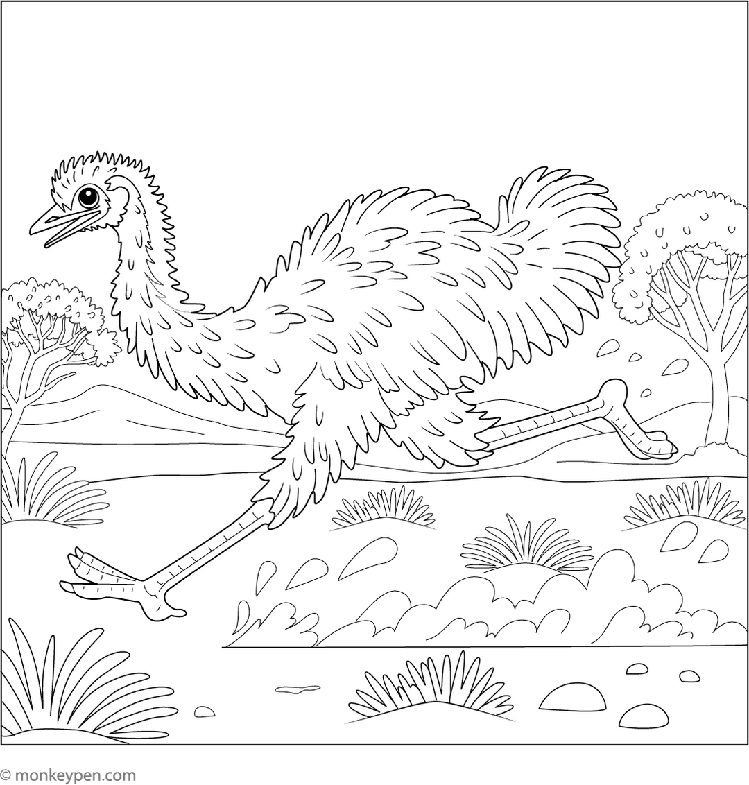 Emu Colour In Emu Running Fast Coloring Page – Free Printable PDF for Kids