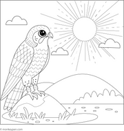 Falcon Coloring Book | Instant Printable PDF Download for Kids