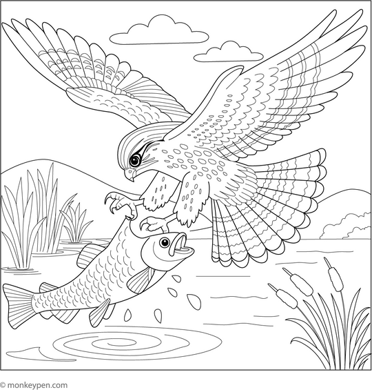 Falcon Catching Prey | Free Coloring Sheet for Kids